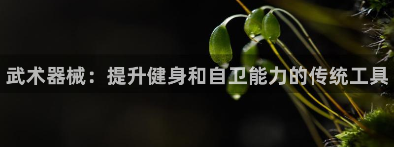 尊龙 ag：武术器械：提升健身和自卫能力的传统工具