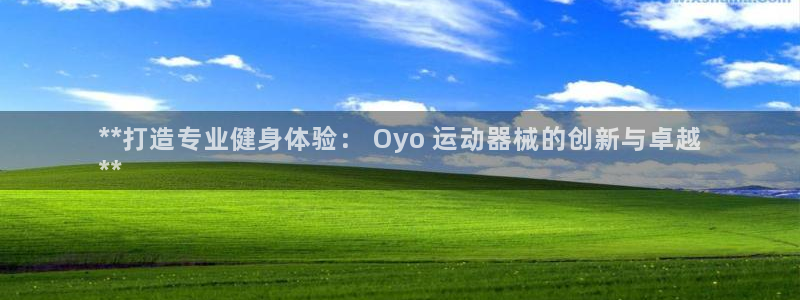 尊龙新版app：**打造专业健身体验： Oyo 运动器械的创