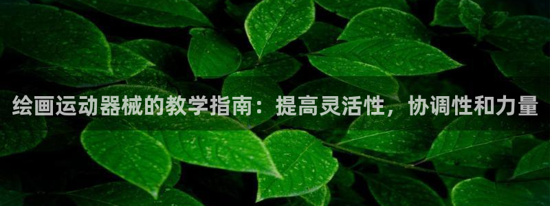 尊龙官网：绘画运动器械的教学指南：提高灵活性，协调性