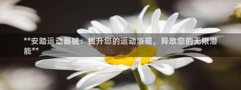 尊龙休闲e站怎么样：**安踏运动器械：提升您的运动表