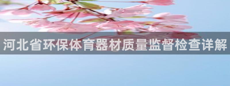 尊龙旗舰app：河北省环保体育器材质量监督检查详解